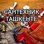 PROFESSIONAL SANTEXNIK